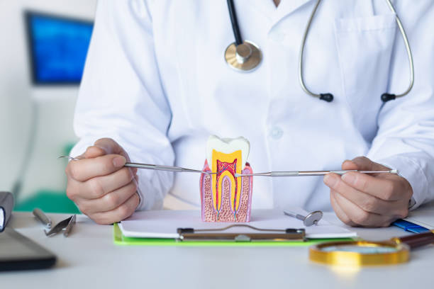 Best Emergency Broken Tooth Repair in Sterling, VA